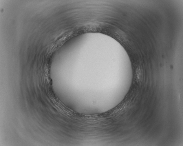 X0000053110964200508012120