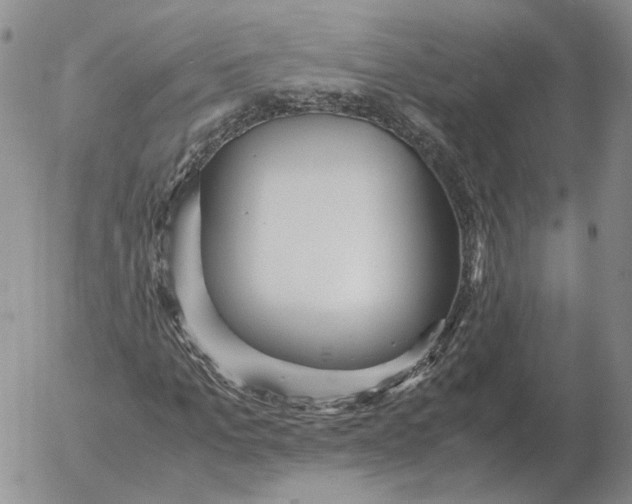 X0000053110965200508012120