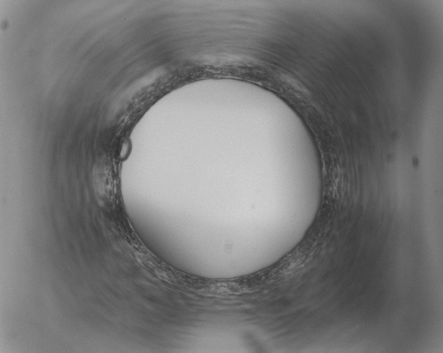 X0000053110966200508012120