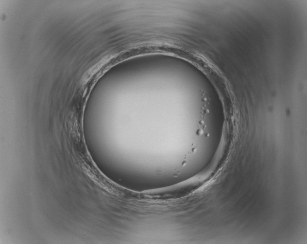 X0000053110969200508012120