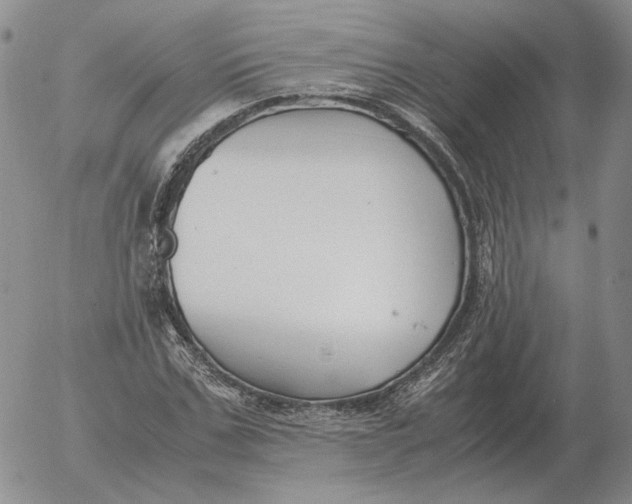 X0000053110971200508012120