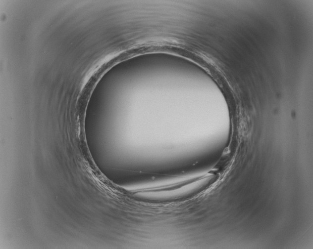 X0000053110973200508012120