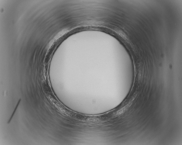 X0000053110974200508012120