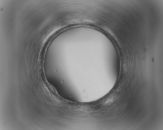 X0000053110975200508012120