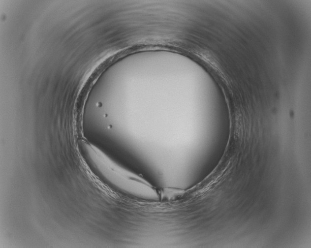 X0000053110976200508012120