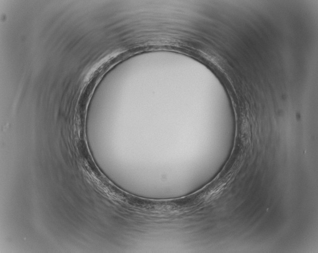 X0000053110979200508012120