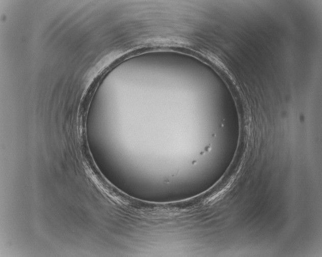 X0000053110981200508012120