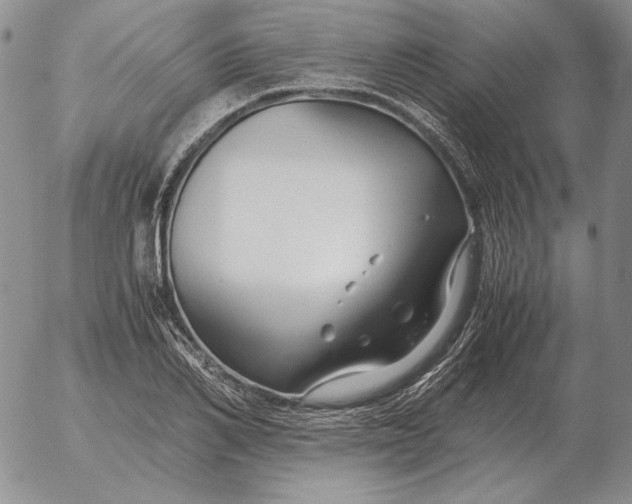 X0000053110982200508012120