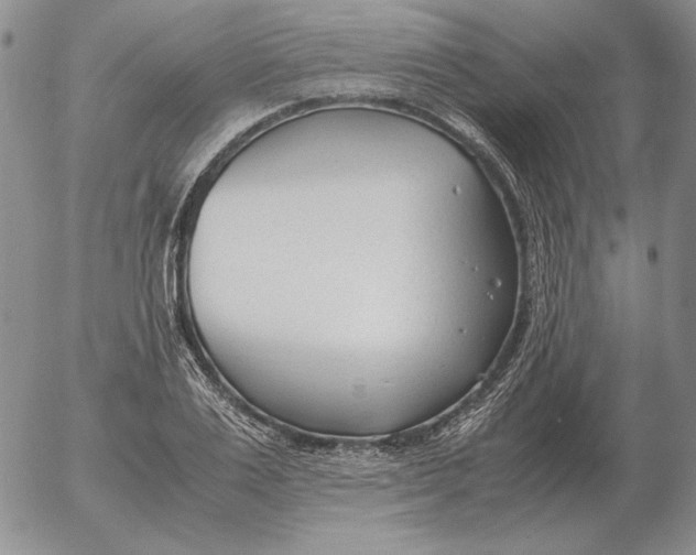 X0000053110983200508012120