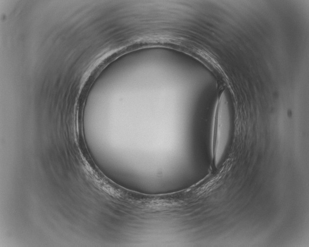 X0000053110984200508012120