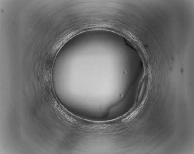 X0000053110985200508012120