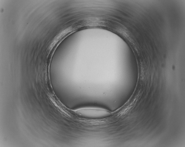 X0000053110986200508012120