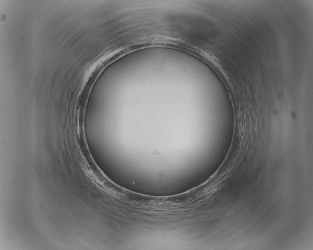 X0000053110987200508012120