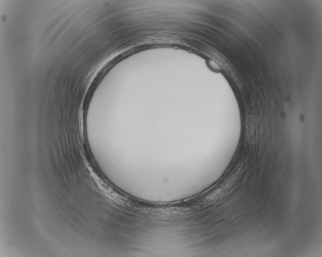 X0000053110988200508012120