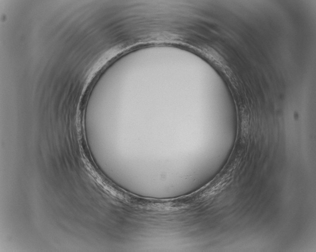 X0000053110990200508012120