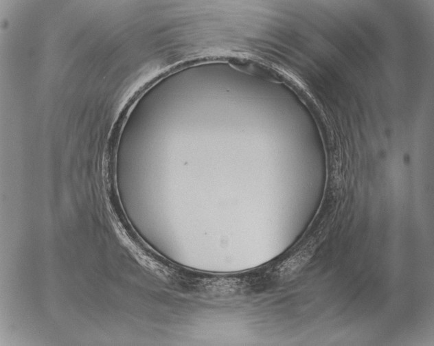 X0000053110991200508012120