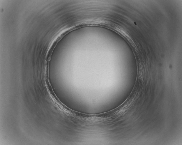 X0000053110992200508012120