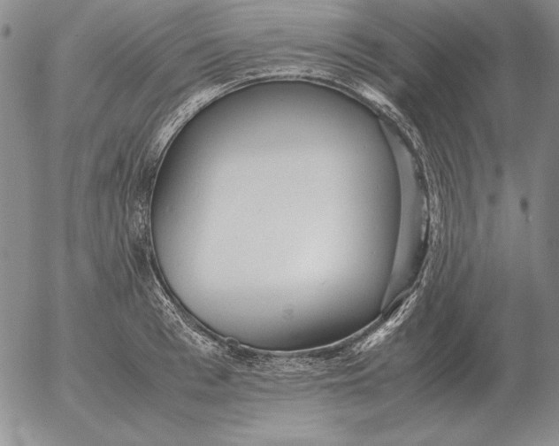 X0000053110993200508012120