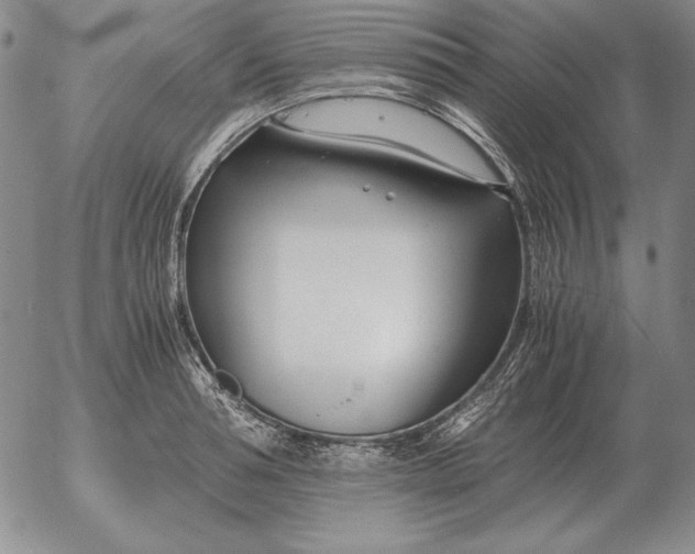 X0000053110994200508012120