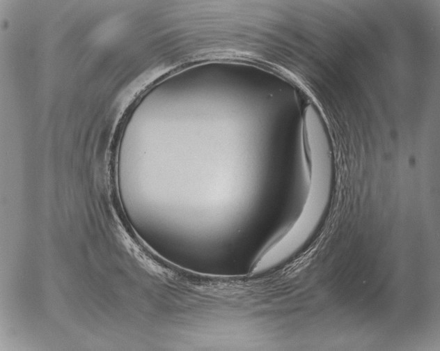 X0000053110995200508012120