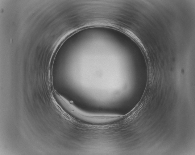 X0000053110996200508012120