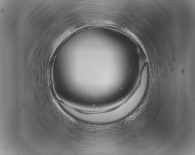 X0000053110997200508012120