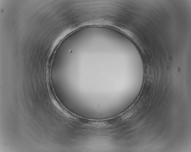 X0000053110998200508012120