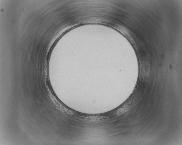 X0000053111000200508012120