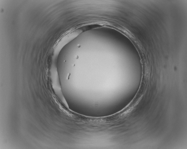 X0000053111001200508012120