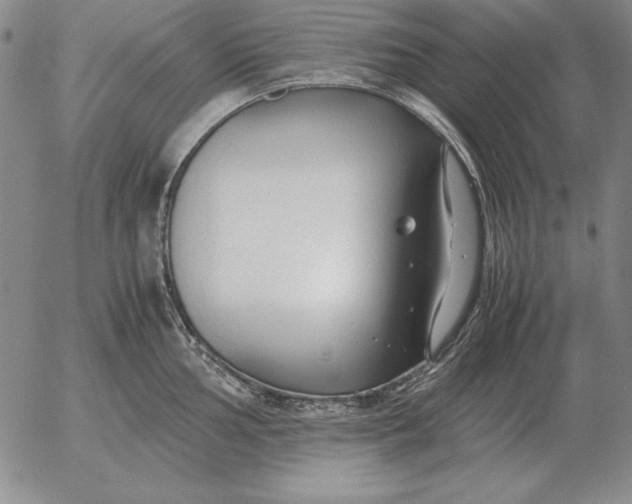 X0000053111002200508012120