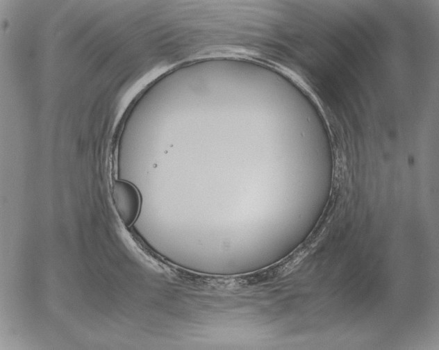 X0000053111003200508012120