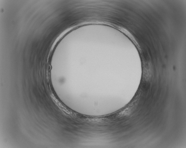 X0000053111004200508012120