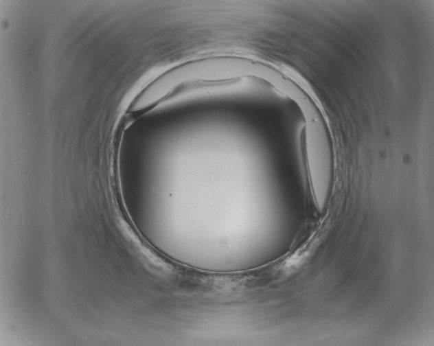 X0000053111005200508012120