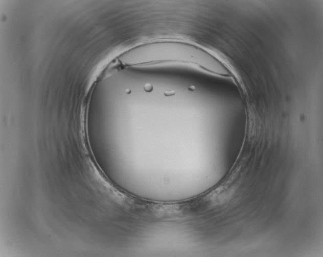 X0000053111006200508012120