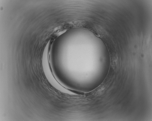 X0000053111010200508012119