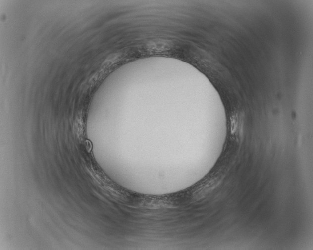 X0000053111011200508012119