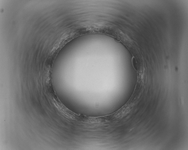 X0000053111012200508012119