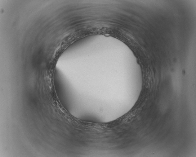 X0000053111013200508012119