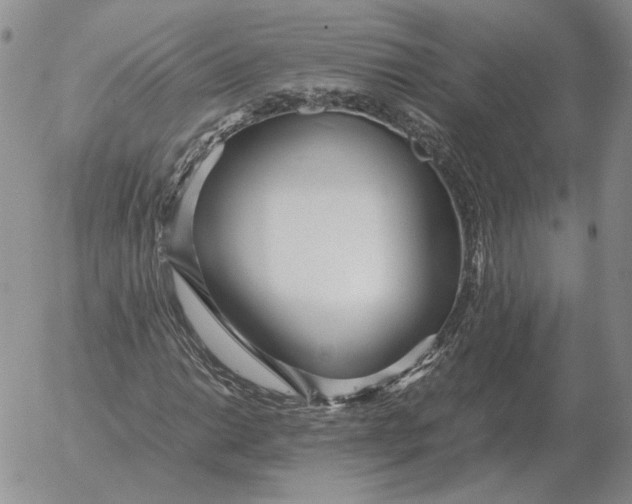 X0000053111014200508012119