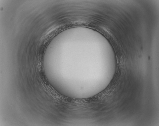 X0000053111015200508012119