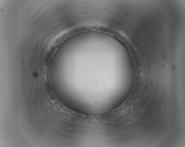 X0000053111016200508012119