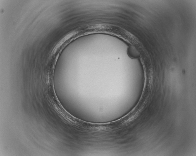 X0000053111017200508012119