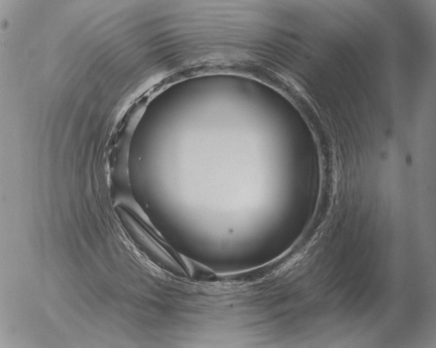 X0000053111018200508012119