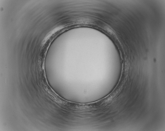 X0000053111019200508012119