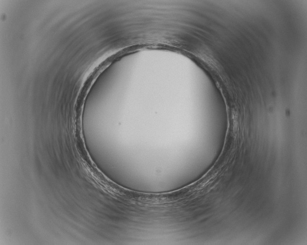 X0000053111020200508012119