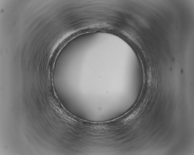 X0000053111021200508012119