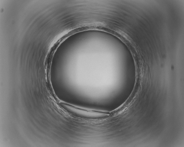 X0000053111022200508012119