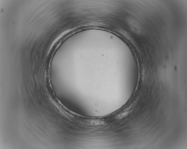 X0000053111024200508012119