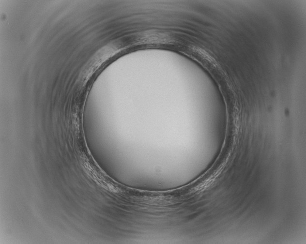 X0000053111025200508012119