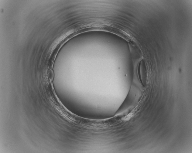 X0000053111026200508012119